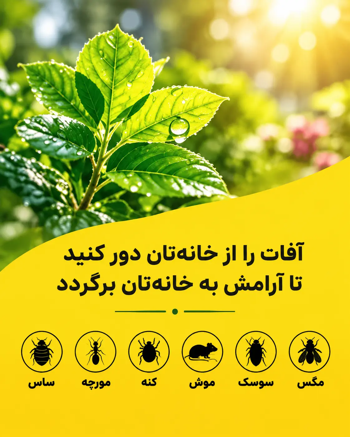 تضمین آرامش و پاکسازی آفات